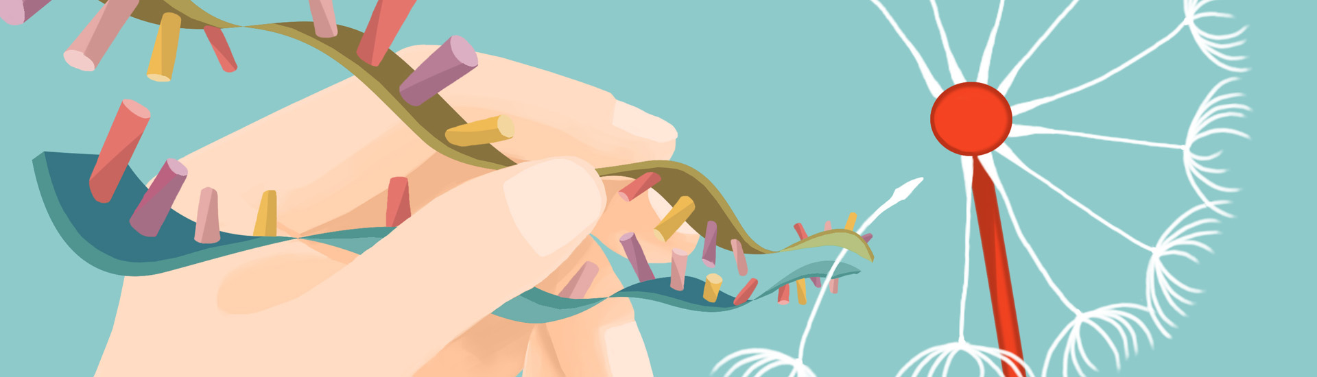 通過膠質細胞向神經元轉分化治療神經性疾病的基礎研究取得重要進展